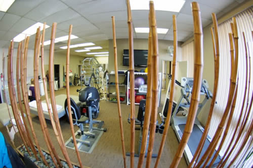 Fitness Philosophy Physical Therapy